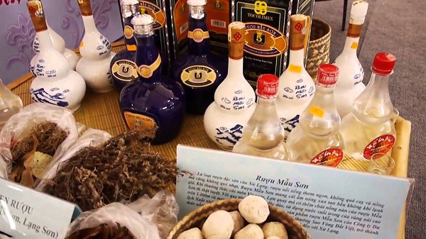 Cách làm rượu Mẫu Sơn đỉnh chính hiệu Lạng Sơn 
